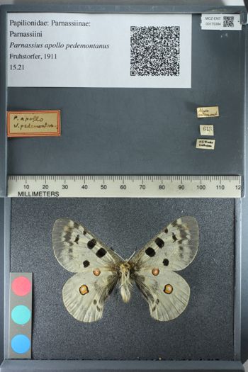 Media type: image;   Entomology 175394
